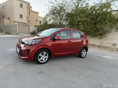 بيكانتو 2020 بدي وكاله خليجي index