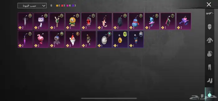 حساب ببجي للبيع 14