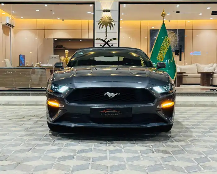 موستنج 2019 كشف سعودي بحاله ممتازه 0