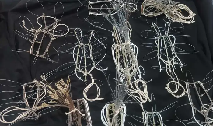 شبك مقناص حمام قطا قمري سمان جربوع نقل قراشع 20