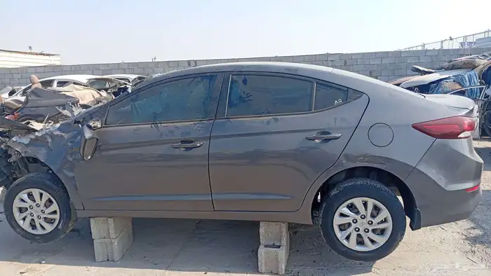 النتراء 2018 2