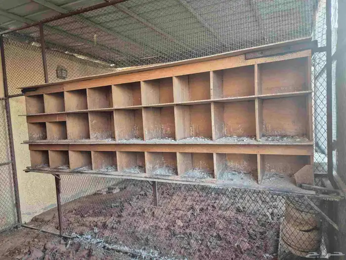 حظائر دواجن وحمام 0