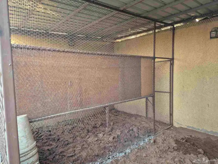 حظائر دواجن وحمام 3