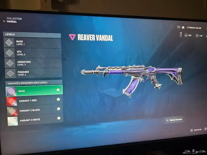 حساب فالورنت نادر 11