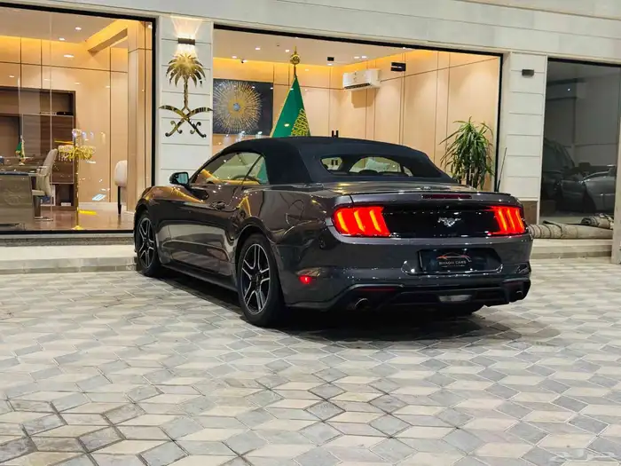 موستنج 2019 كشف سعودي بحاله ممتازه 5