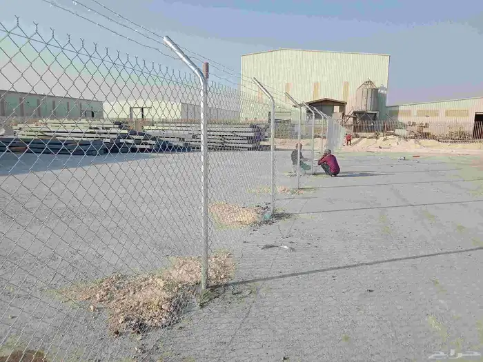 زراعه نخيل 6