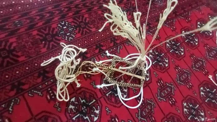 شبك مقناص حمام قطا قمري سمان جربوع نقل قراشع 12