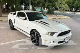 مطلوب موستنق 2013 0