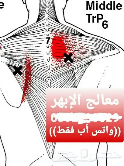 الابهر 0