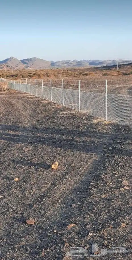 شبوك مزارع شبوك مخيمات 8