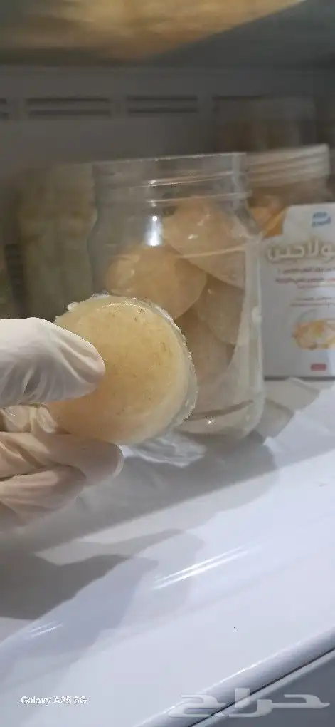 كولاجين بقري ( ممتاز للمفاصل والبشره ) ودهن بقري للطبخ طازج 6