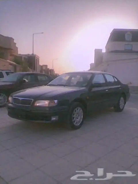 مكسيما 1998 الصور حديثه ( ماشاءالله). 14