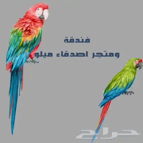فندقة اصدقاء ميلو الاليفه 15