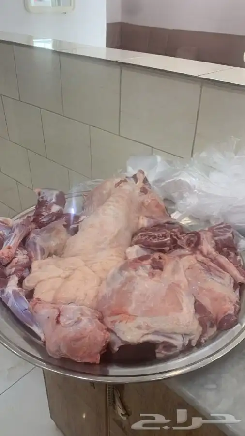 ذبايح مزرعة مرابي عسير 4