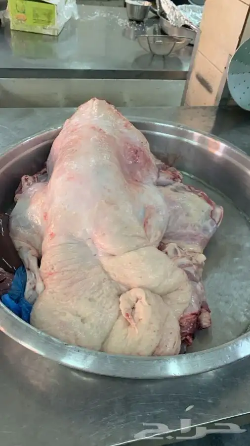 ذبايح مزرعة مرابي عسير 15