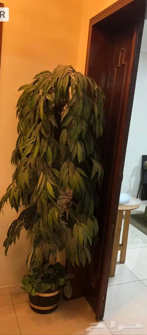 نباتات صناعية 3