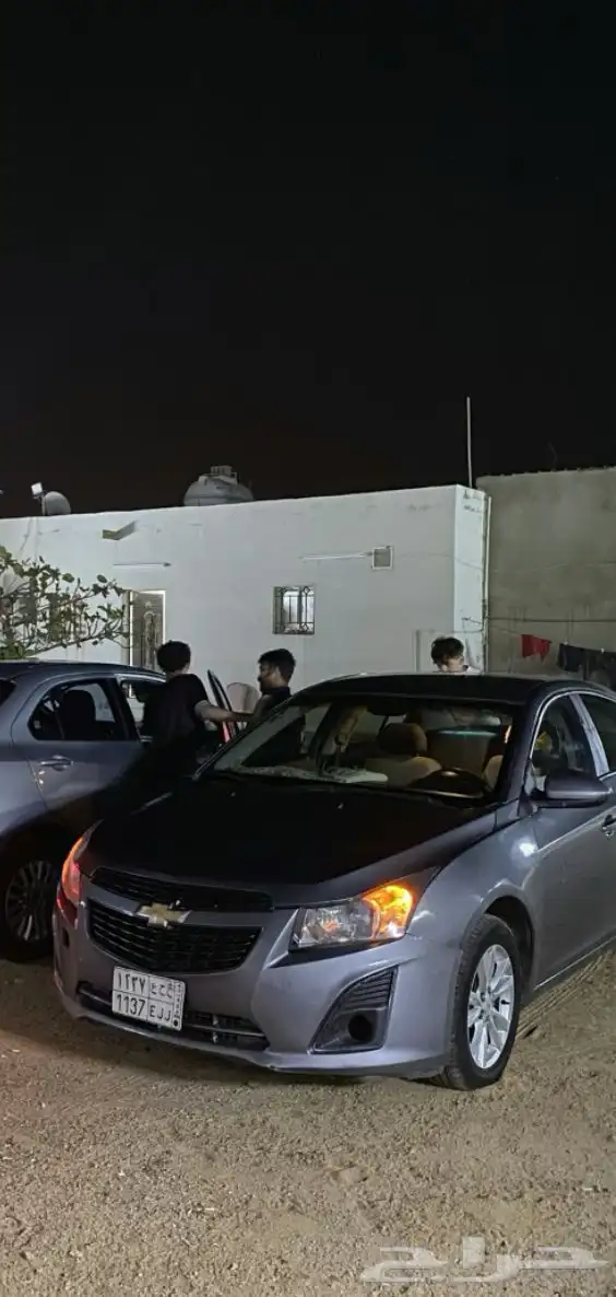 شفر كروز 7