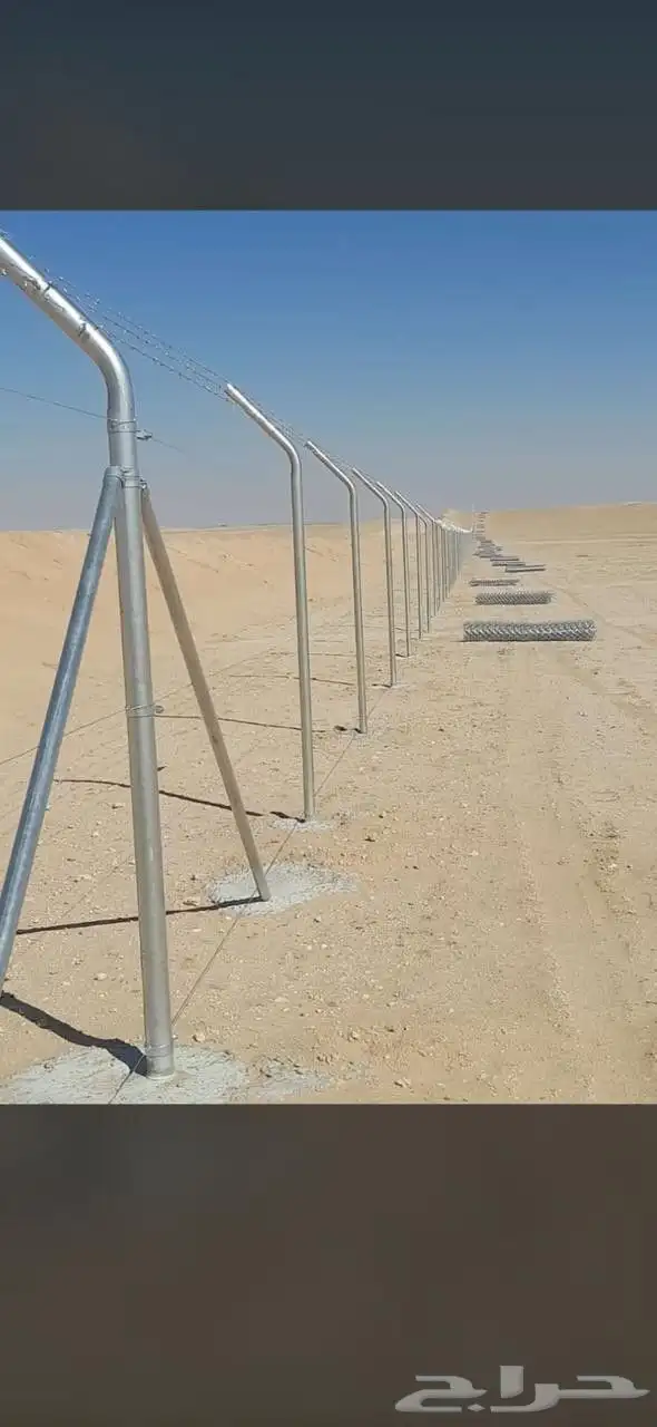 مقول نخل وشبوك مزارعه 10