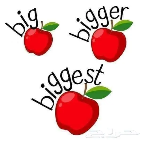 الإختبارات أفضل معلمة خصوصية 1