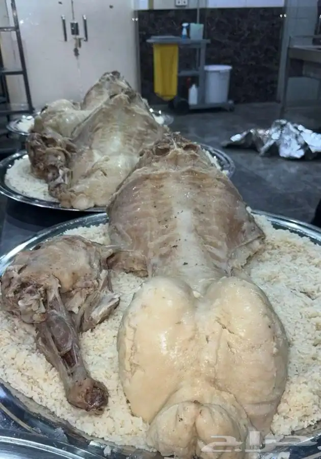 سواكني رفيدي  برابر 23