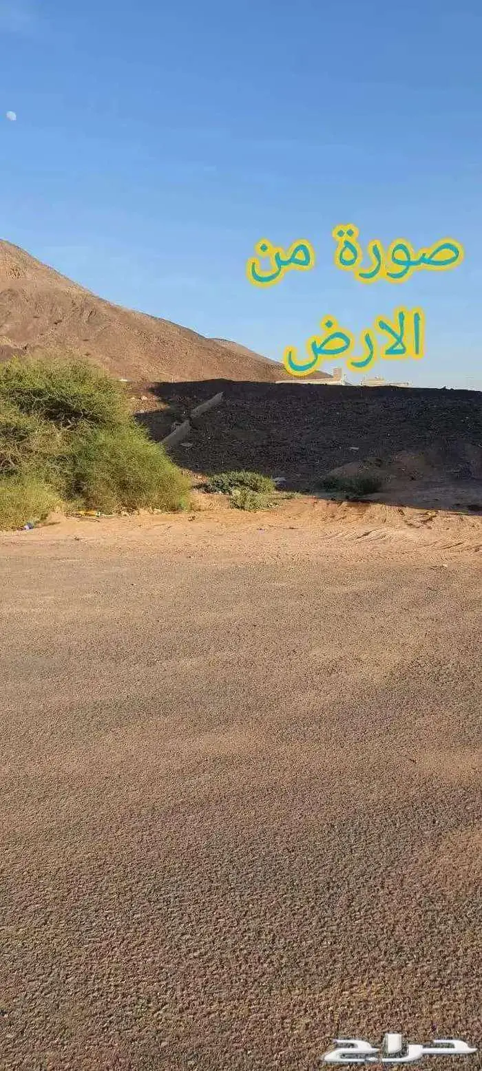 أرض تجارية شارعين أمامي و خلفي قابلة للفرز وشارع تجاري 880 م 7