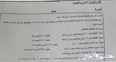 أرض تجارية شارعين أمامي و خلفي قابلة للفرز وشارع تجاري 880 م index