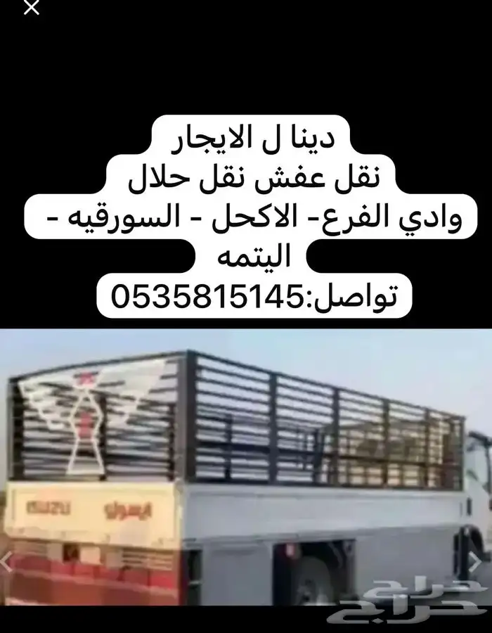 دينا اجار 0