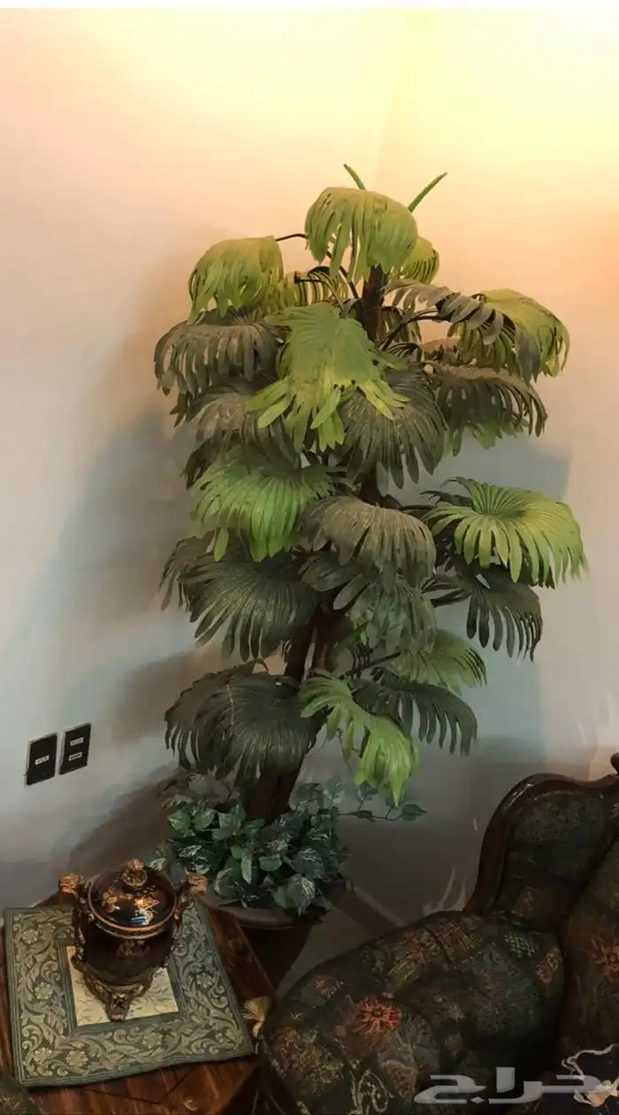 نباتات صناعية 1