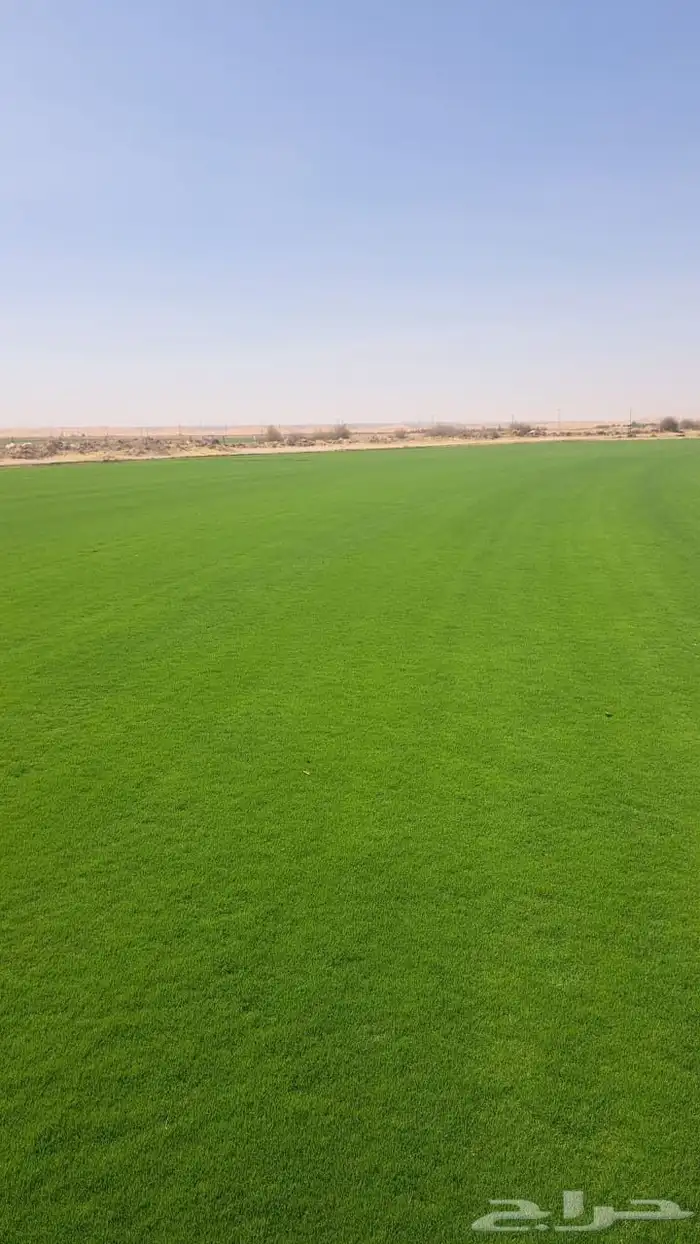 ثيل CL2000حق الخروج 5