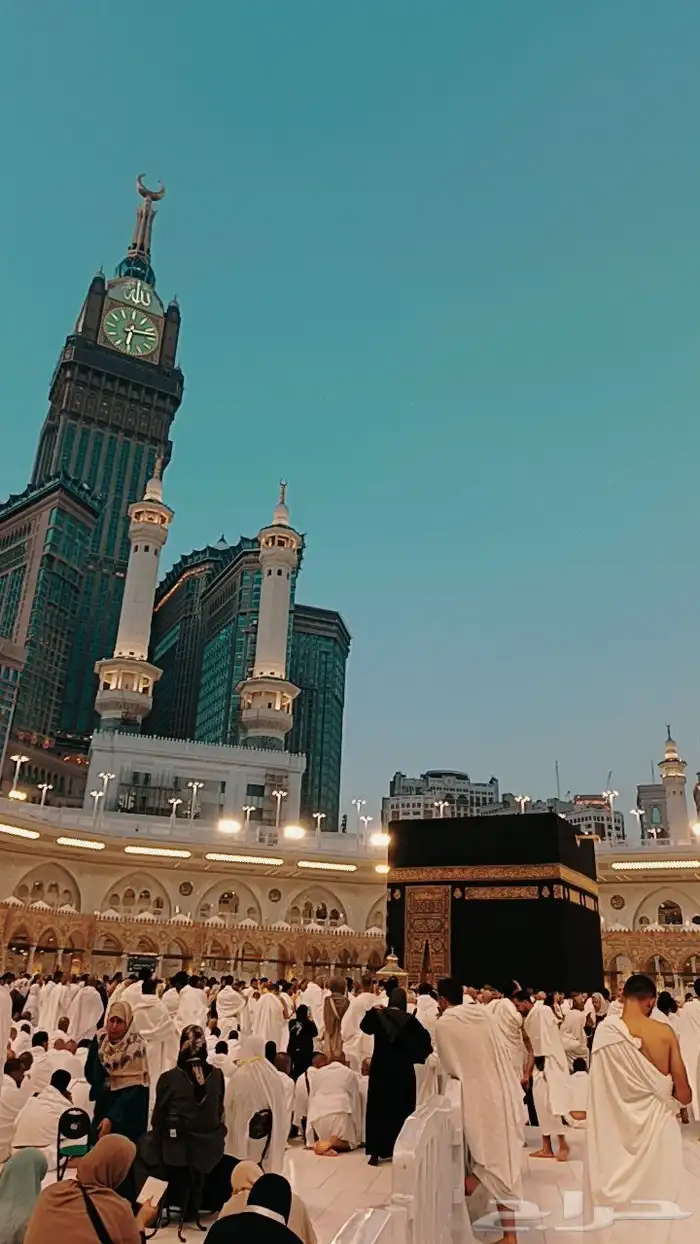 توصيل مكة إلى ينبع 0