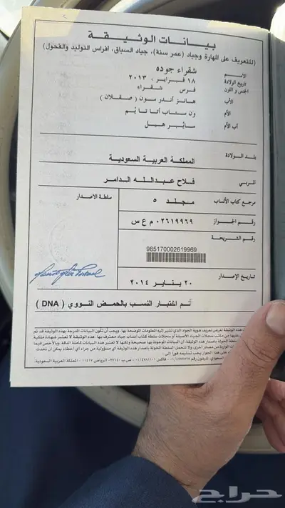 فرس للبيع مع اولادها index