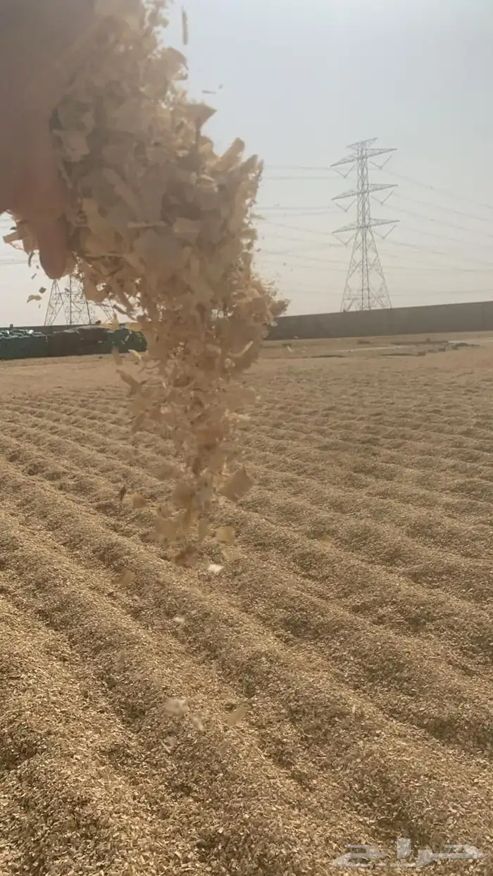 نشارة أثل 0