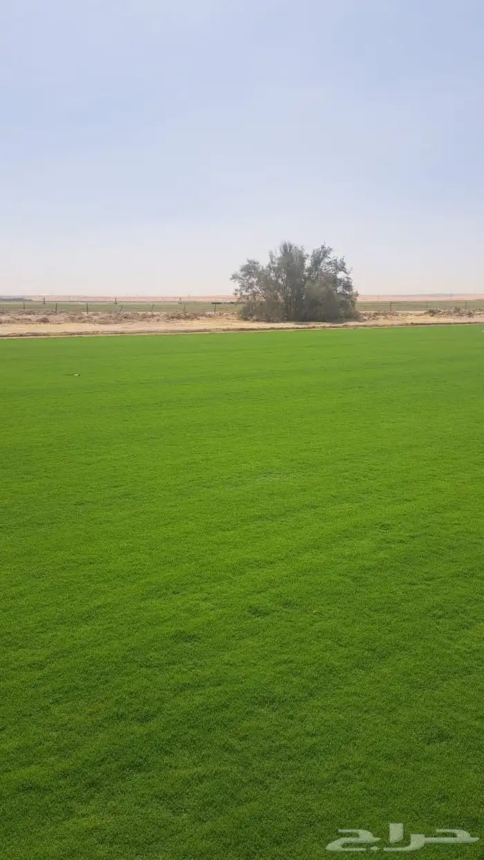ثيل CL2000حق الخروج 1