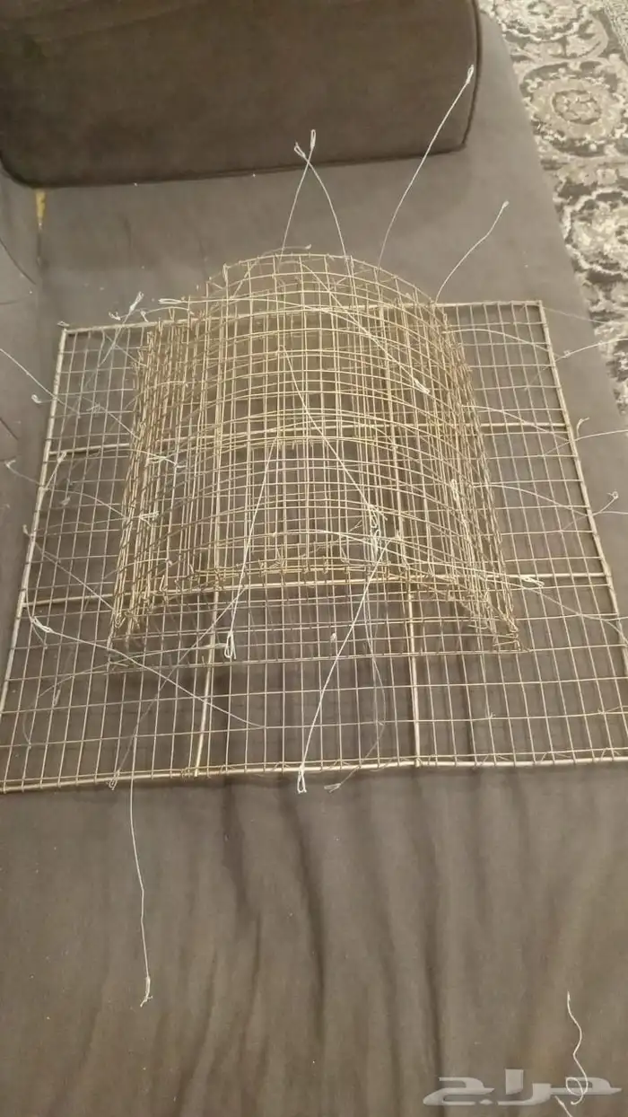 شبك مقناص حمام قطا قمري سمان جربوع نقل قراشع 19