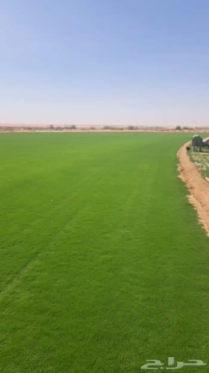 منسق حدائق القصيم 4