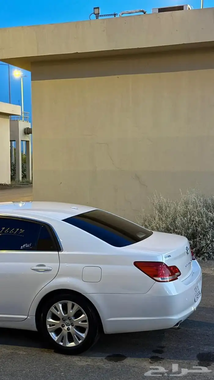 افلون 2010 11