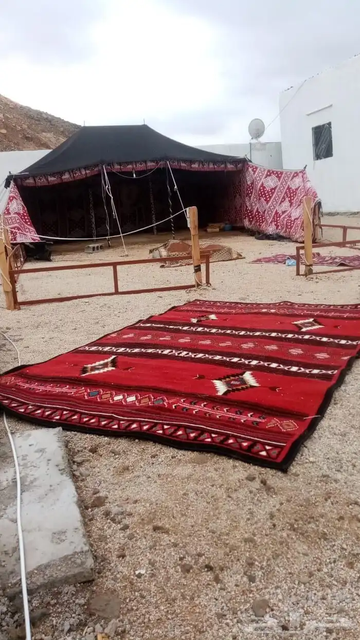 بيت شعر ومساند و زل 1