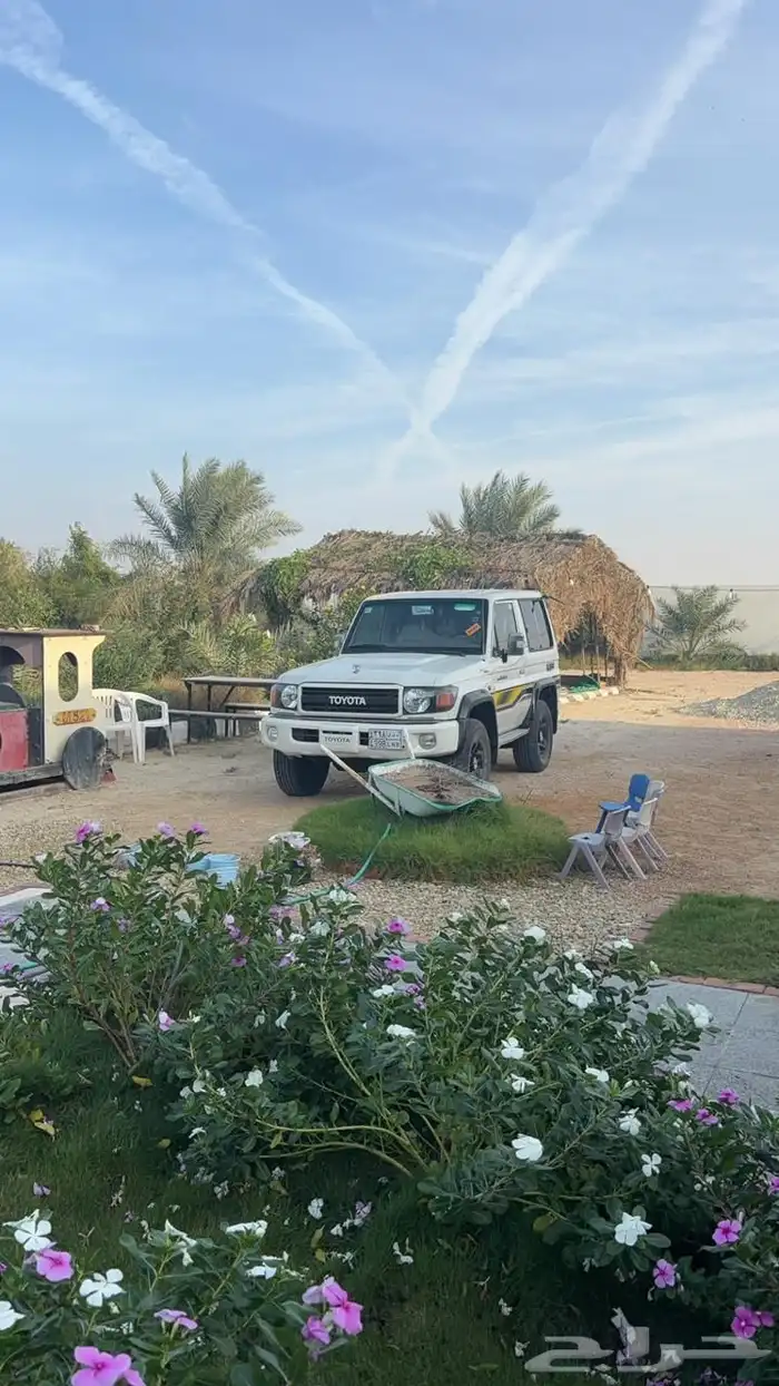 جيب ربع 12 حكومي 4