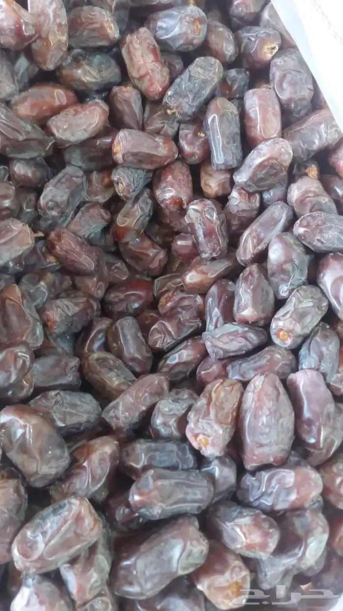تمر خضري للبيع 3