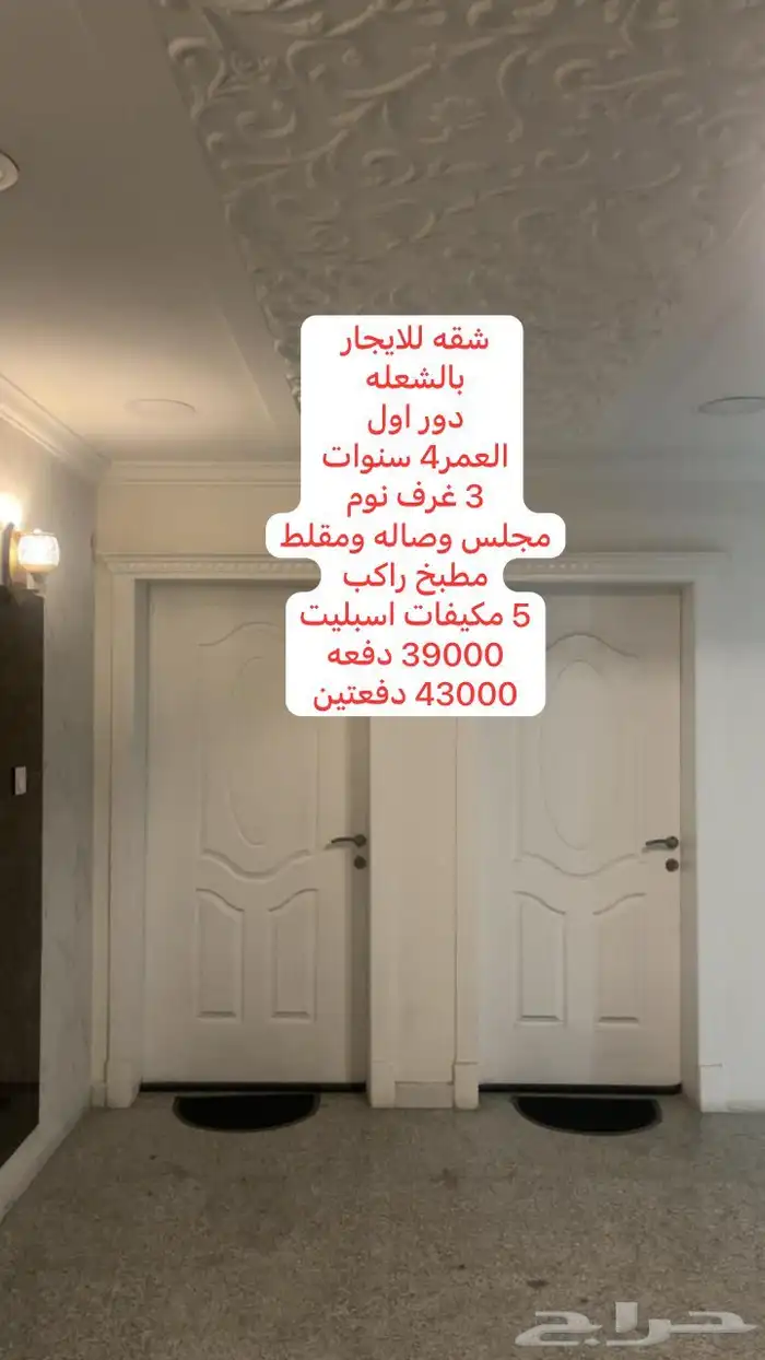 شقه للايجار في الشعله 13