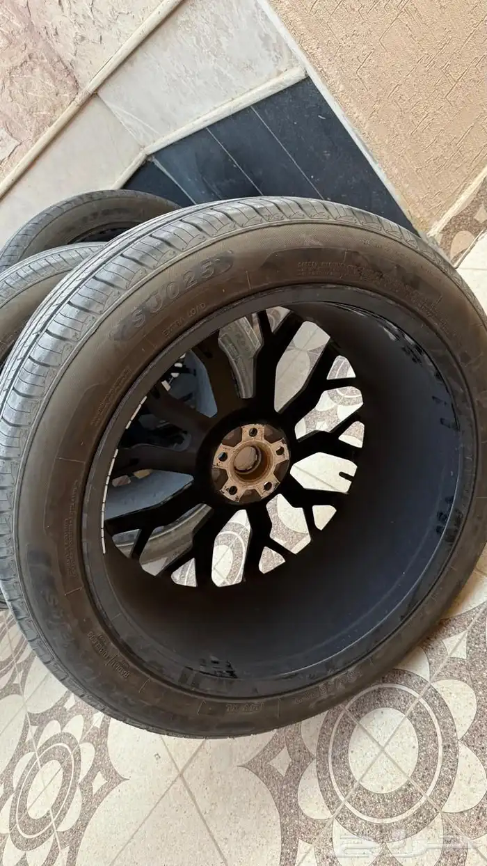 جنوط جيتور 2