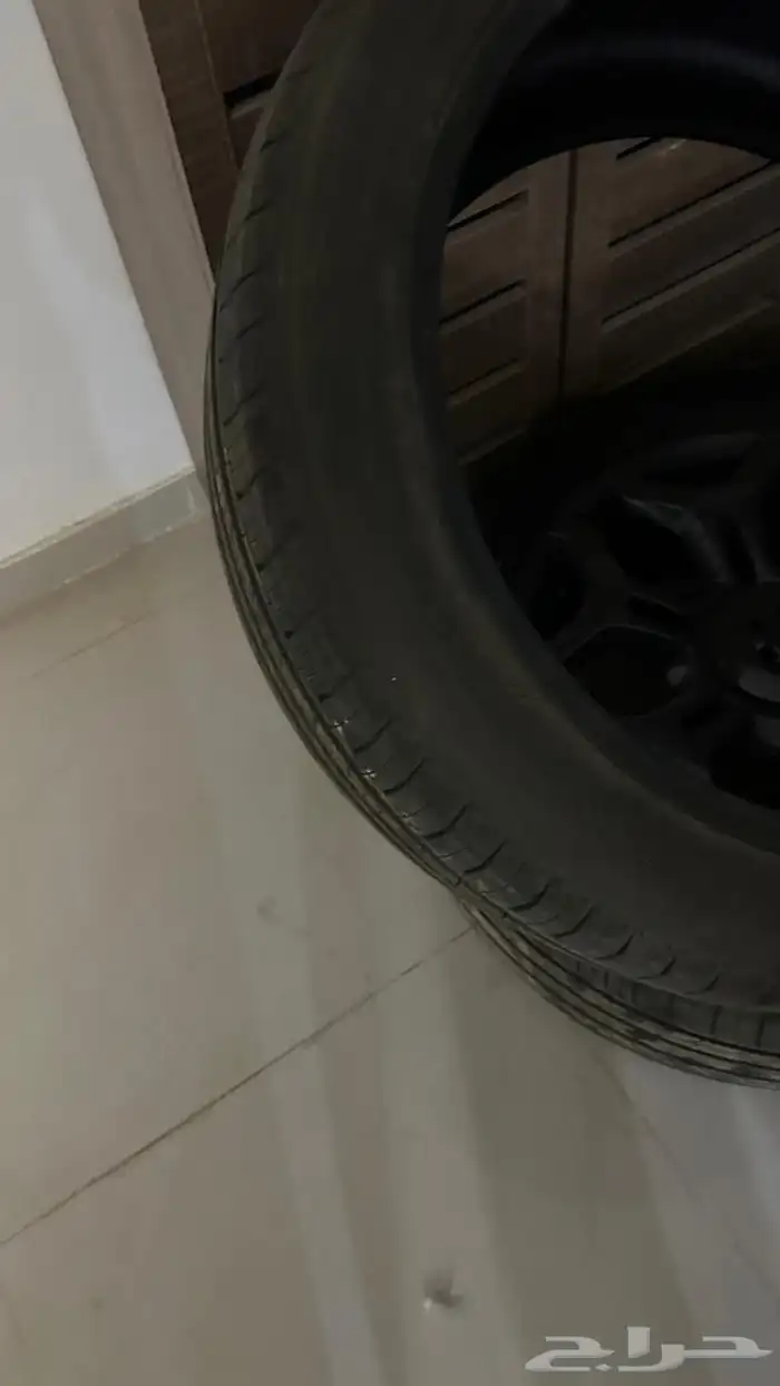 جنوط جيتور 6