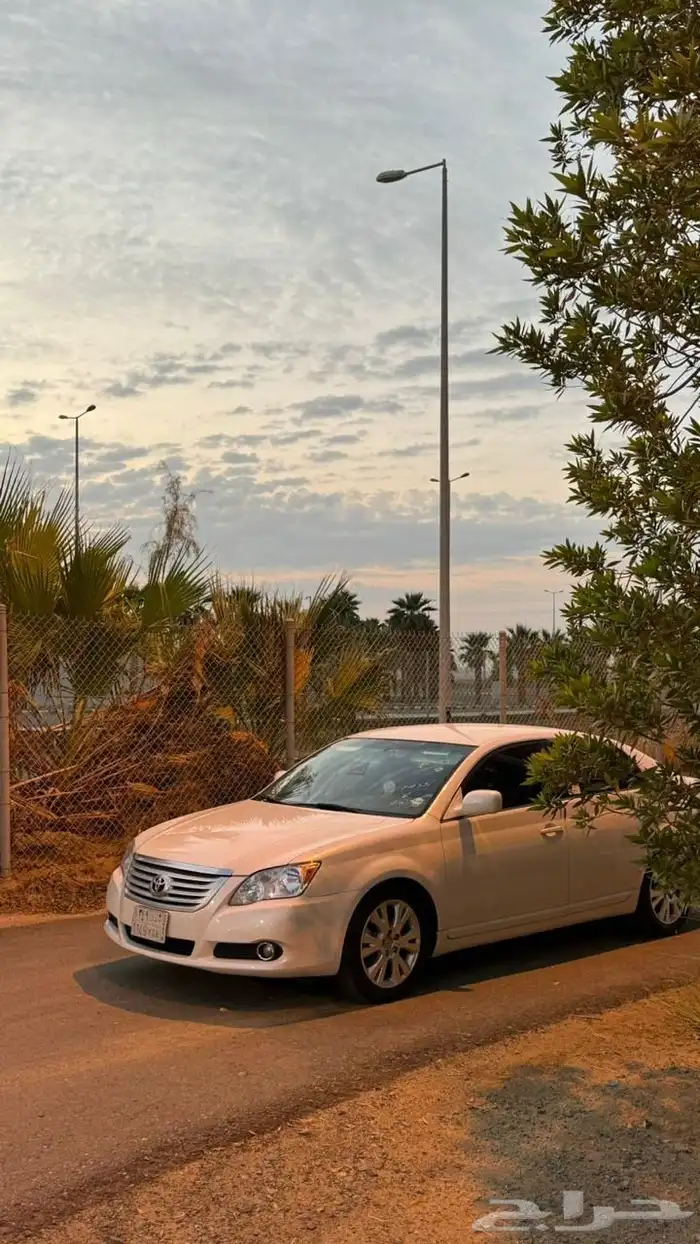 افلون 2010 6