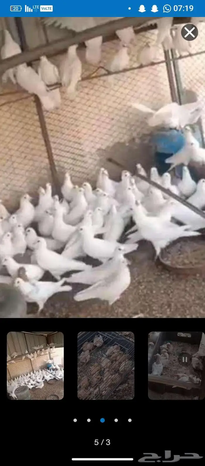 للبيع حمام فرنسي سوبر جامبو 0