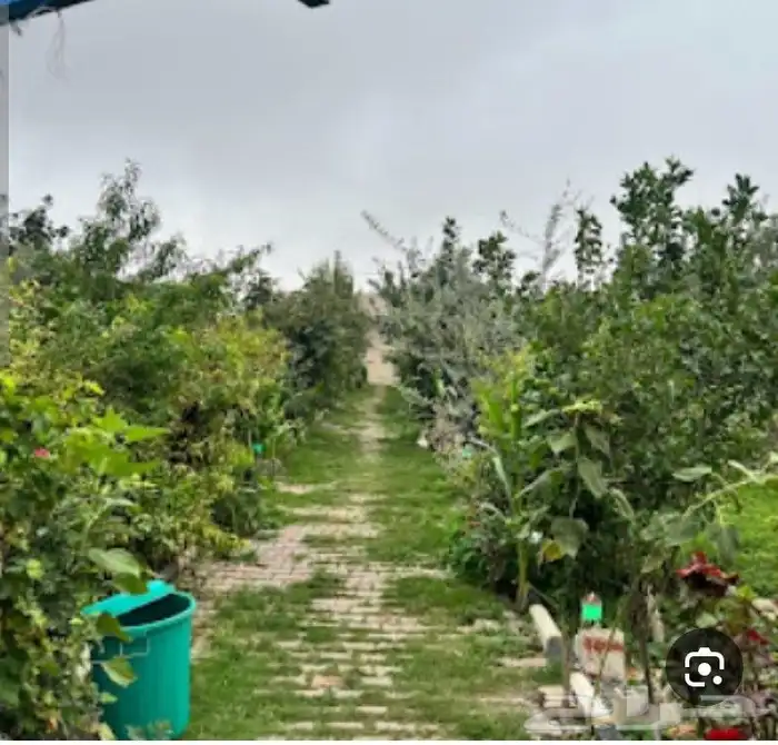 مطلوب اجار مزرعة 0