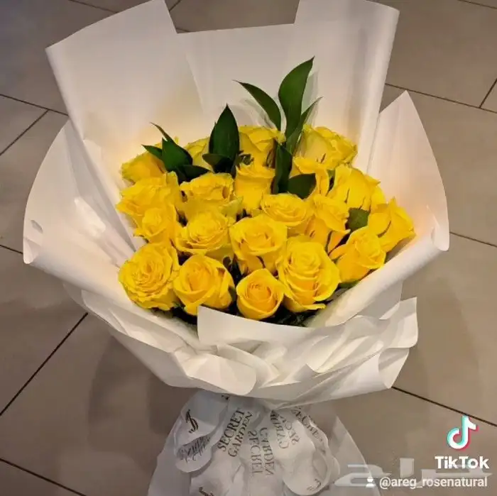 مندوب توصيل وخدمات داخل جدة وخارجها 2