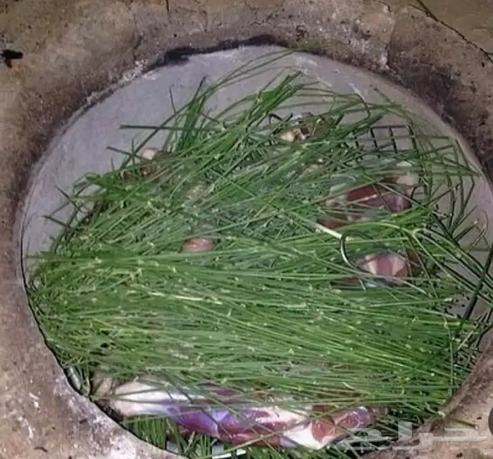 مرخ الحنيذ 0