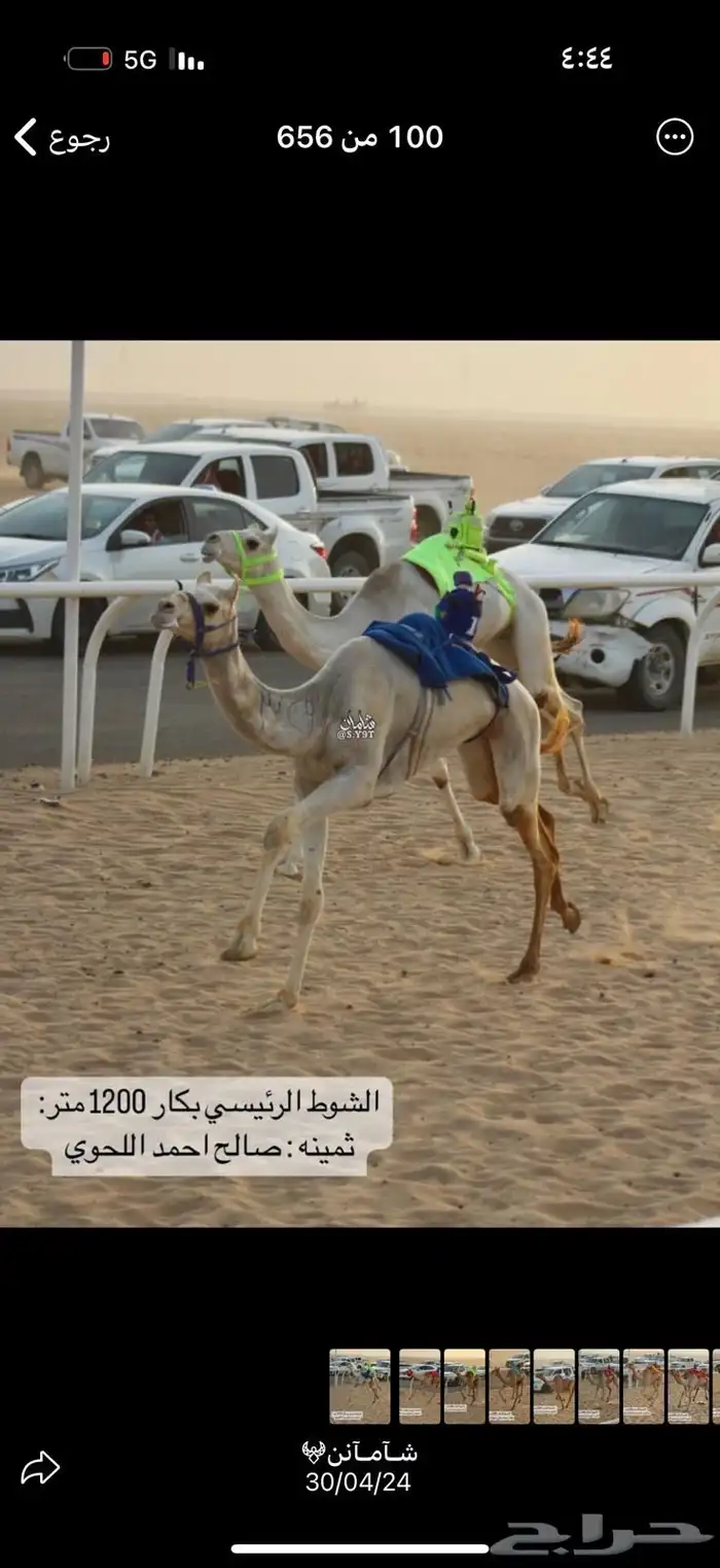 هجن 0