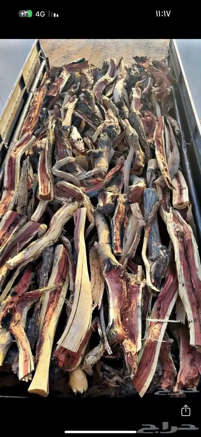 القصيم شرط 1