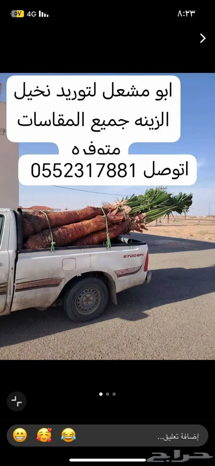 النخيل للبيع 1